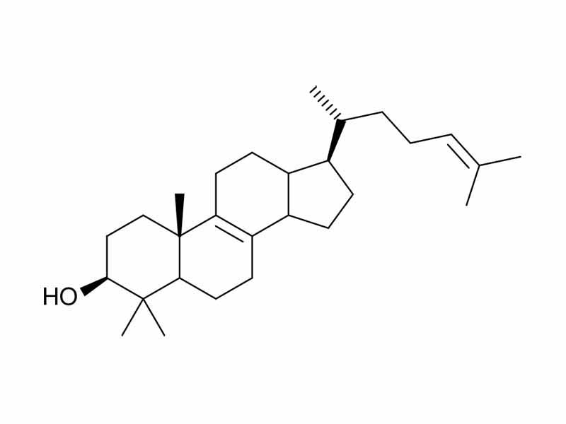Steroid skeleton of lanosterol. The total number of carbons (30) reflects its triterpenoid origin. In some steroids some carbons may be removed (such as carbon 18) or added (such as carbons 241 and 242) in downstream biosynthetic reactions.