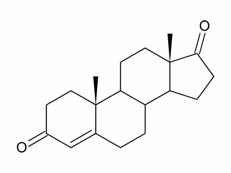 Androstenedione structure