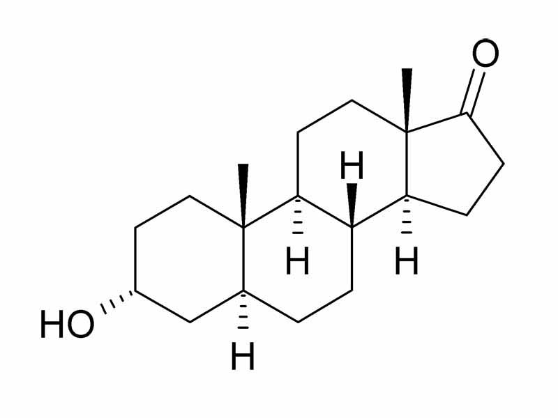 Androsterone structure