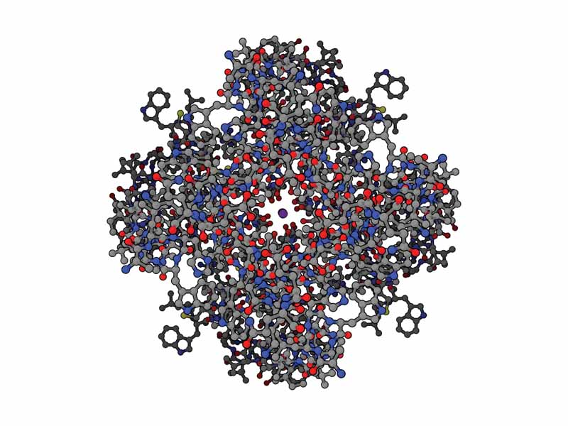 Top view of purple potassium ions moving through potassium channel (PDB code = 1BL8)