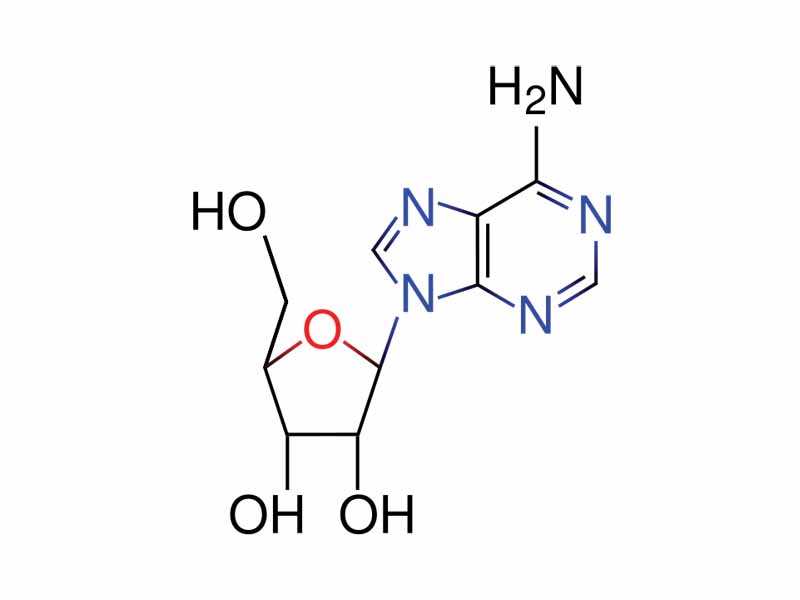 Adenosine structure