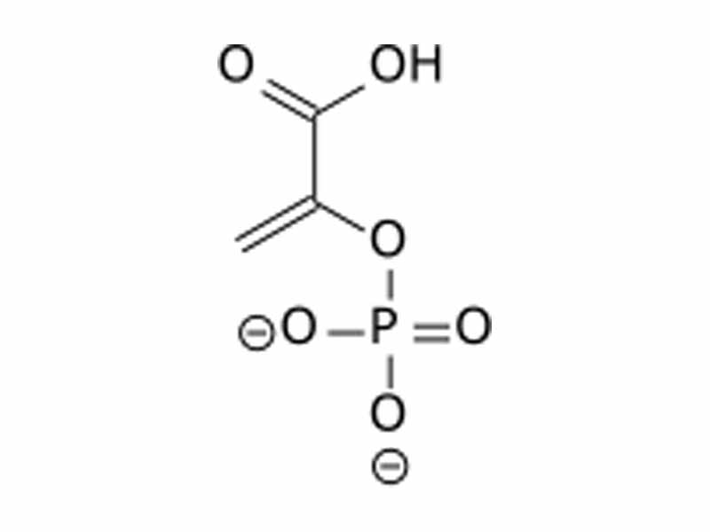  Phosphoenolpyruvate  
