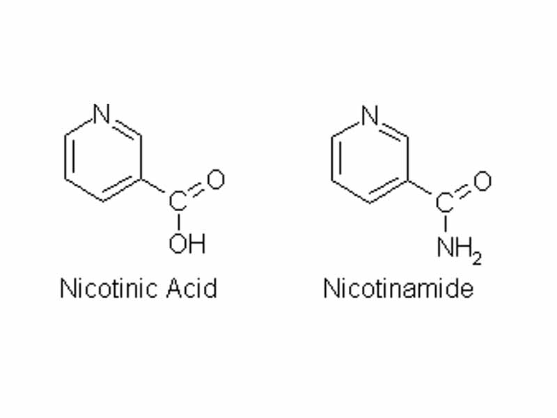 The human body synthesizes NAD from niacin.