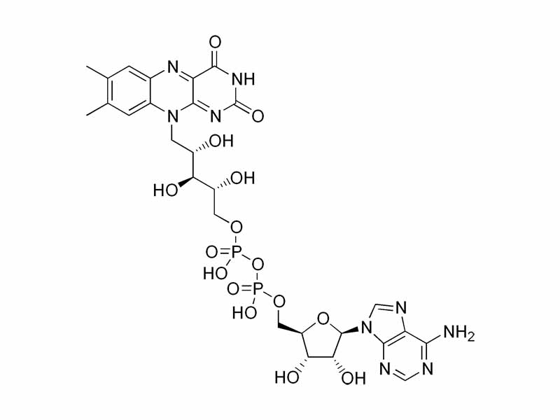 Chemical structure of flavin adenine dinucleotide 