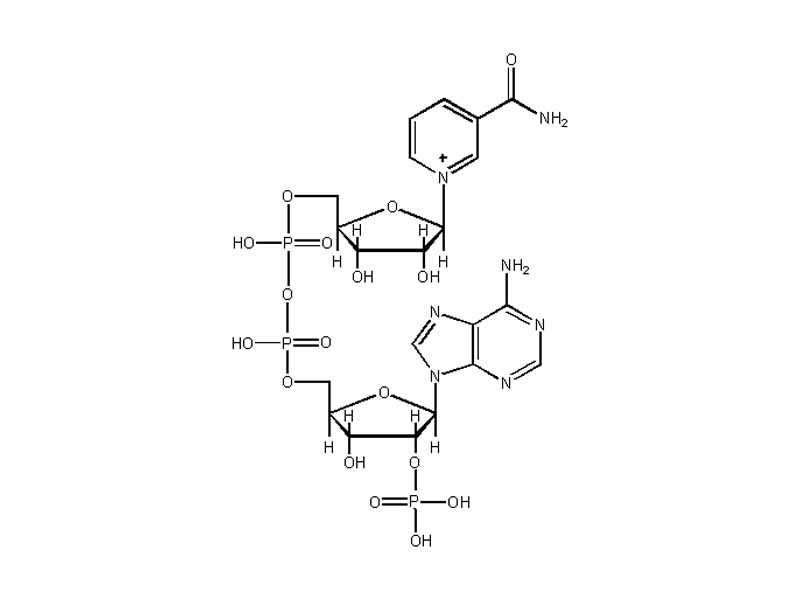Nicotinamide adenine dinucleotide phosphate