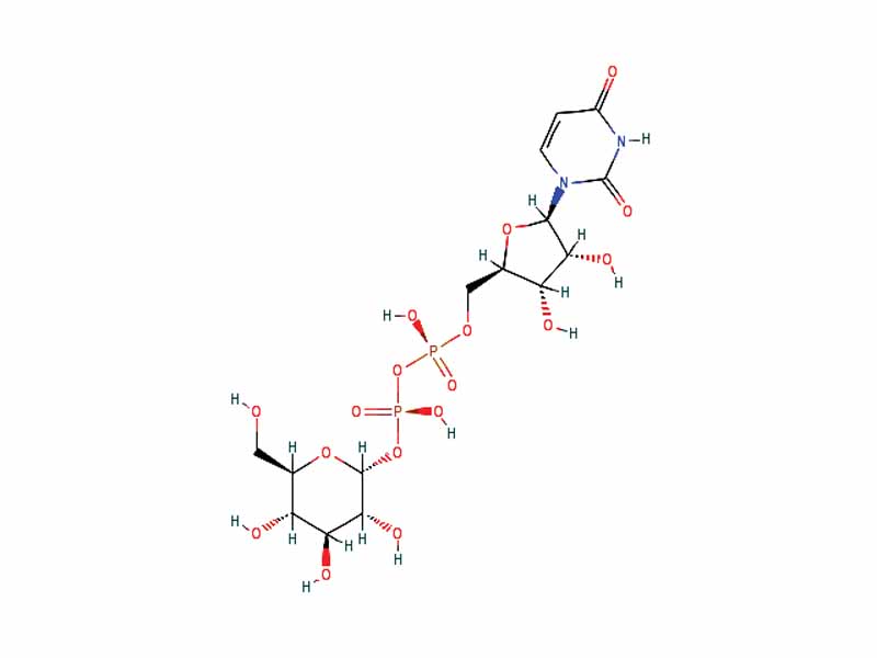 Uridine diphosphate glucose
