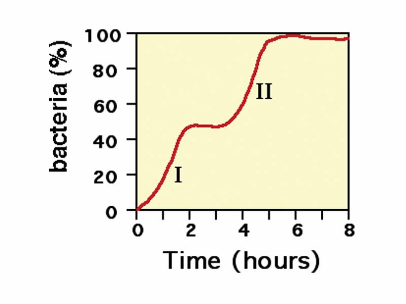 Monod's bi-phasic growth curve