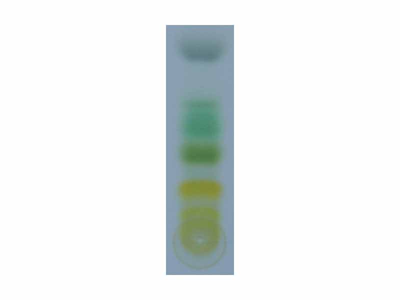 TLC of chlorophyl - step 7