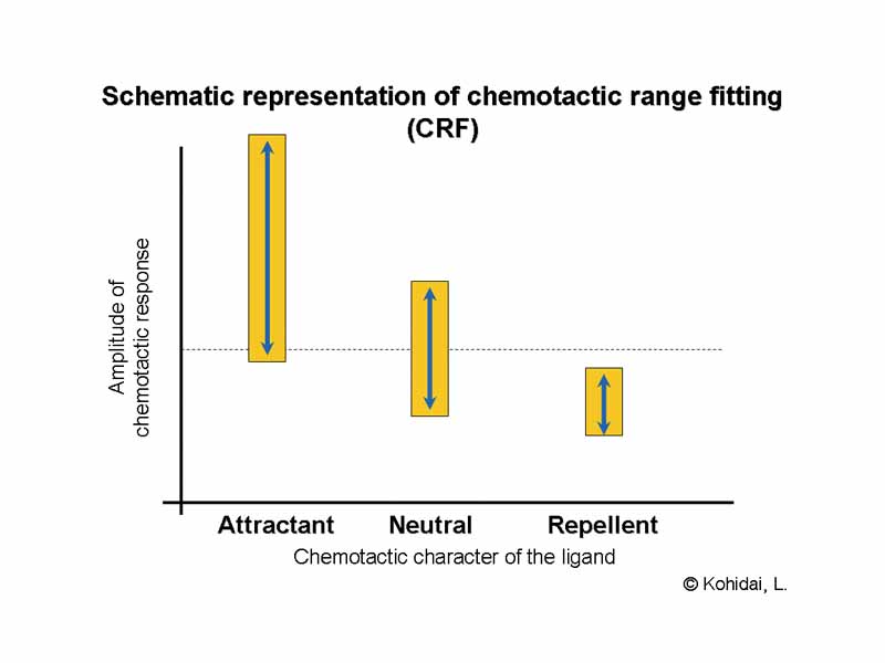 Schematic representation of chemotactic range fitting
