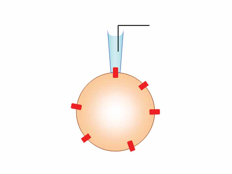 The cell-attached patch clamp uses a micropipette attached to the cell membrane to allow recording from a single ion channel.