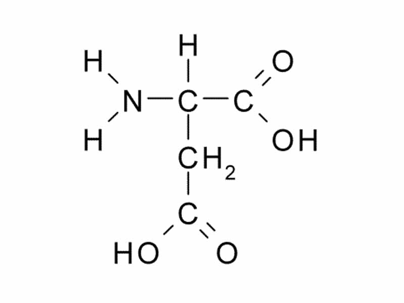 Chemical structure of D-aspartic acid, a common amino acid neurotransmitter.