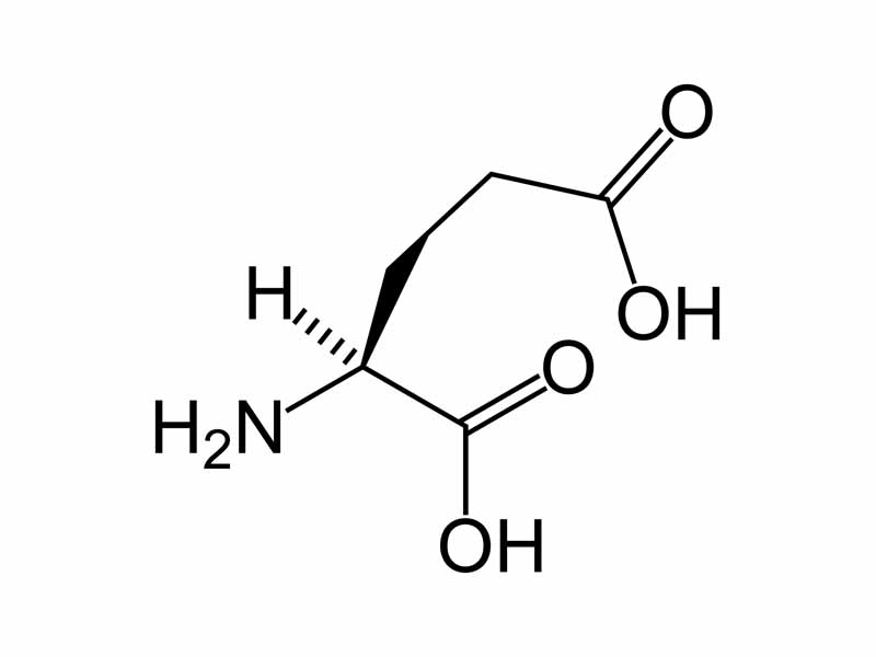 Glutamic acid (NMDA)