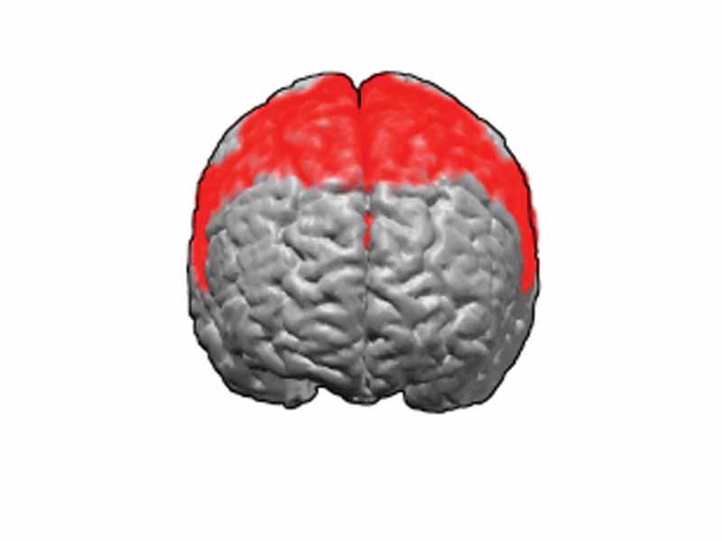 Brodmann areas 6.  BA6 is in the posterior part of the frontal lobe.