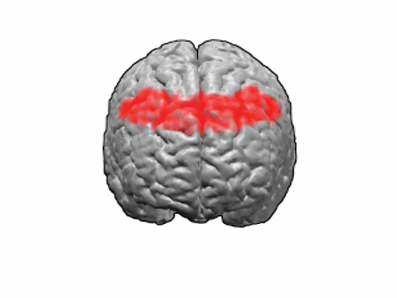 Brodmann area 8.  BA8 is in the posterior part of the frontal lobe.
