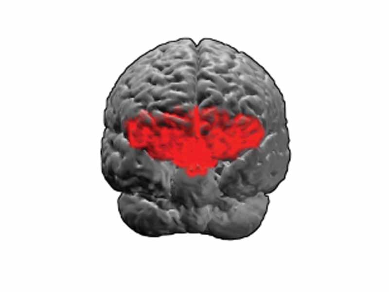 Brodmann area 11.  BA11 is on the ventral surface (underside) of the anterior frontal lobe.