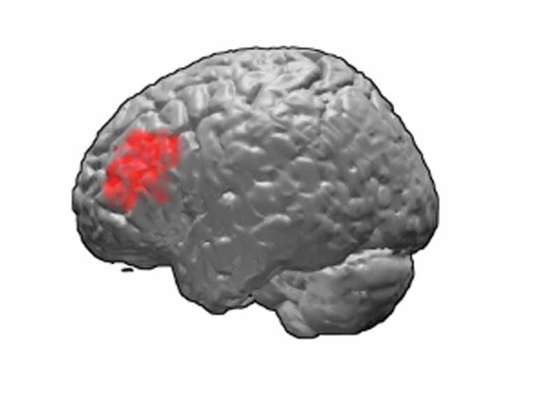 Brodmann area 46.  BA46 is in the frontal lobe.