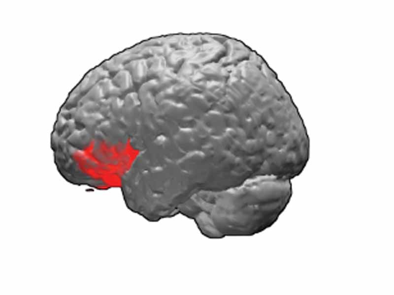 Brodmann area 47.  BA47 is in the frontal lobe.