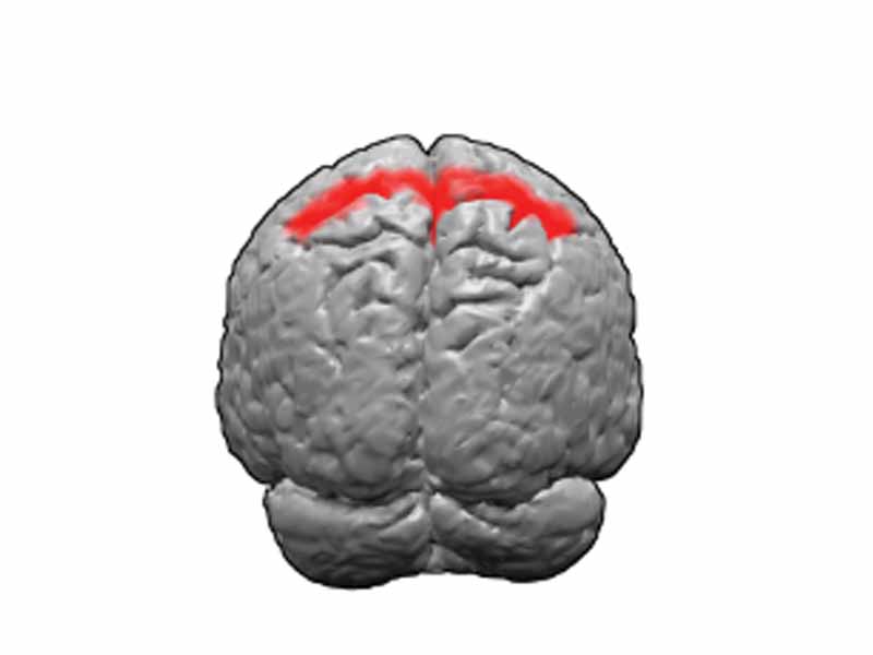 Brodmann areas 5.  BA5 is in the superior parietal lobe.