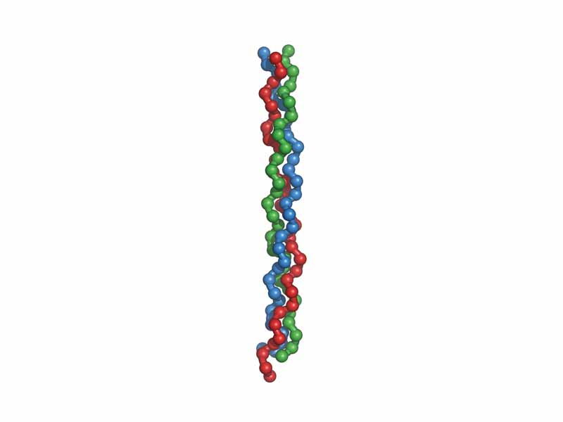 Collagen triple helix