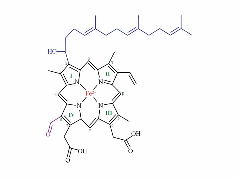 Heme A Heme A is synthesized from Heme B. In two sequential reactions a 17-hydroxyethylfarnesyl moiety (blue) is added at the 2-position and an aldehyde (purple) is added at the 8-position. Nomenclature is shown in green. 