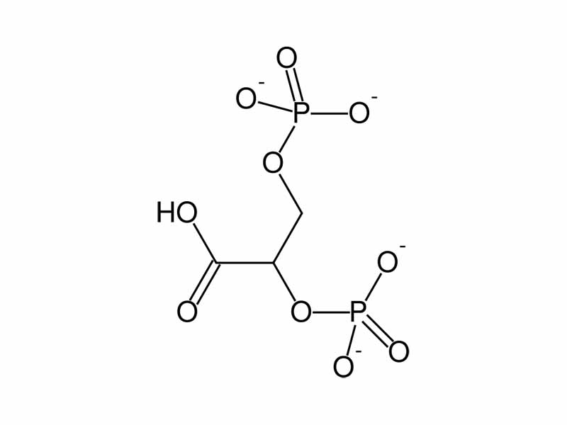 2,3-Bisphosphoglycerate