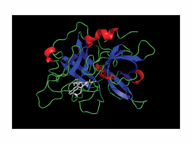 Crystal structure of the protease domain of tPA in complex with an inhibitor