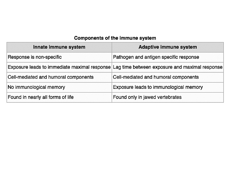 Components of the immune system.