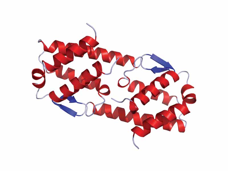 Crystal structure of human IL-5