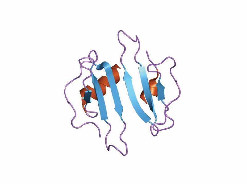 Chemokine (C-X-C motif) ligand 10