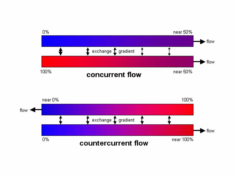 Concurrent exchange and countercurrent exchange