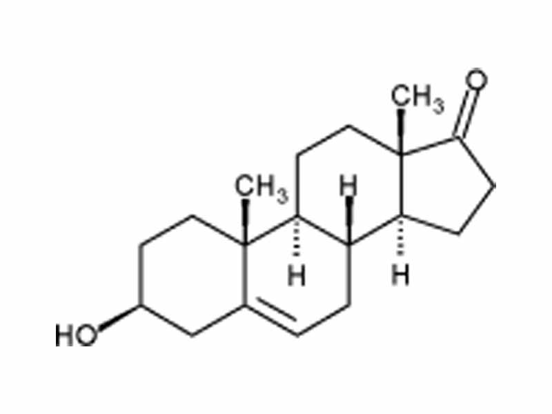 Dehydroepiandrosterone