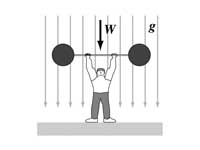 Weightlifter lifting weight within un...