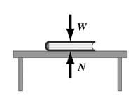 Normal force and the weight