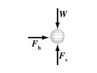 Tether ball free body diagram
