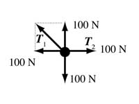 Free body diagram