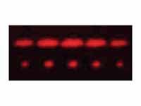 2-slit and 5-slit diffraction of red ...