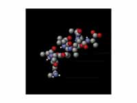 Thermally agitated polypeptide