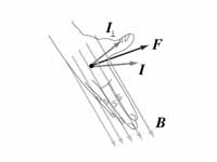 Right hand rule for determining magne...