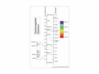 Electromagnetic Spectrum Image.