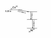 Decay schema of 60Co