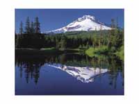 The reflection of Mount Hood in Trill...