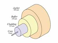 A typical single-mode optical fiber, ...