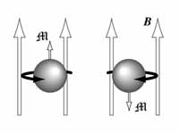 Nuclear magnetic moment illustration