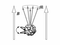 Precessional frequency of nuclear mag...