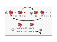 1: Formation of carbon-14
2: Decay o...