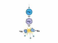 An induced nuclear fission event. A s...