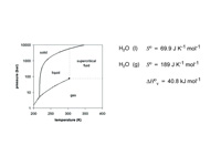 Phase diagram.