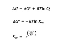 Relationship between free energy chan...