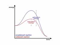 Generic graph showing the effect of a...