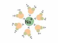 Solvation of Na+ with water